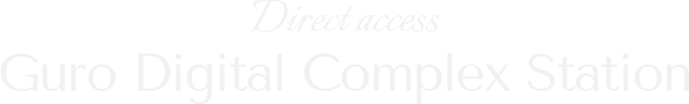 Direct access Guro Digital Complex Station